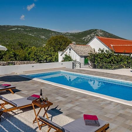 Villa House Camellia With Fenced Pool And Playground Blizna Donja Exterior foto