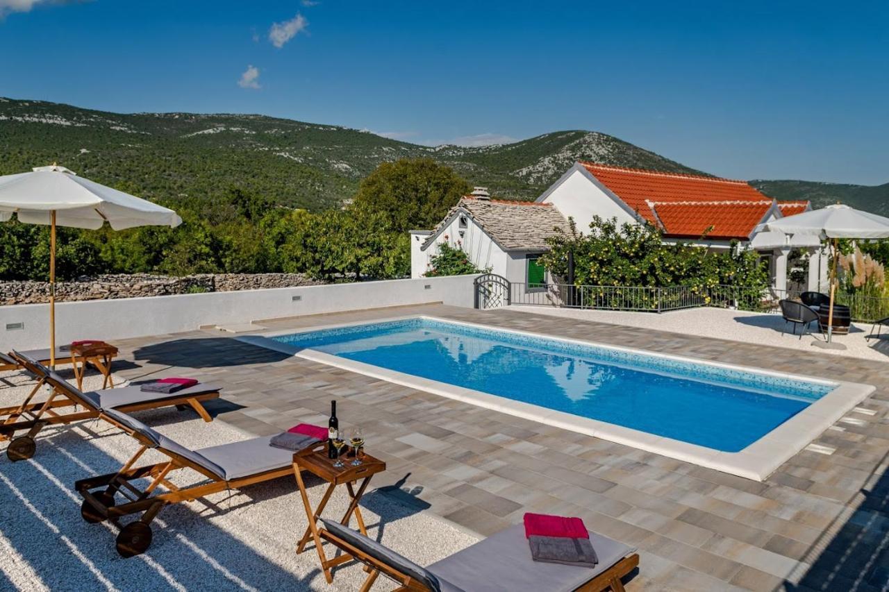 Villa House Camellia With Fenced Pool And Playground Blizna Donja Exterior foto