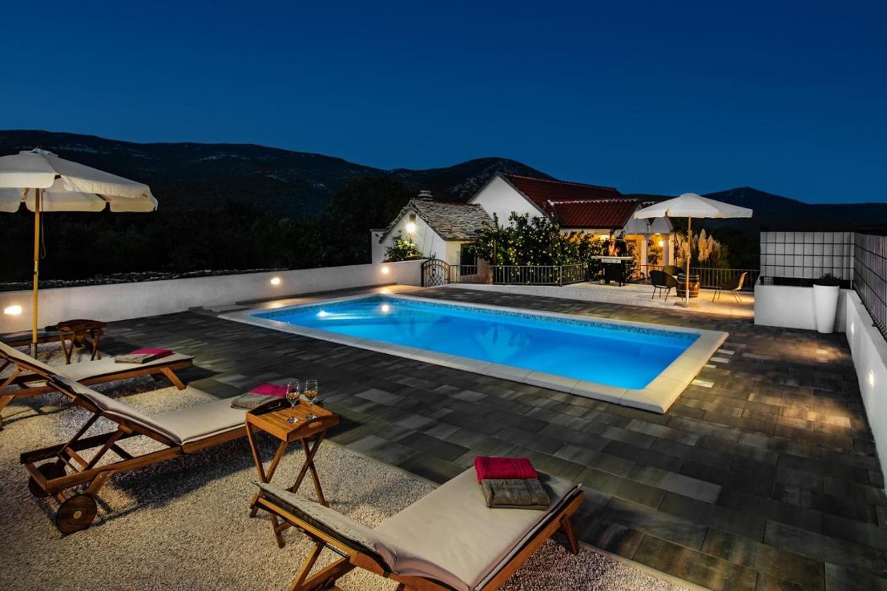 Villa House Camellia With Fenced Pool And Playground Blizna Donja Exterior foto