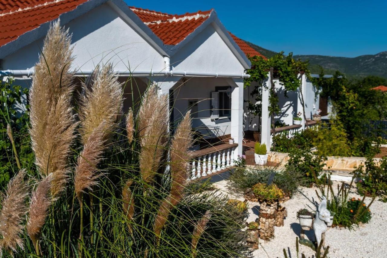 Villa House Camellia With Fenced Pool And Playground Blizna Donja Exterior foto