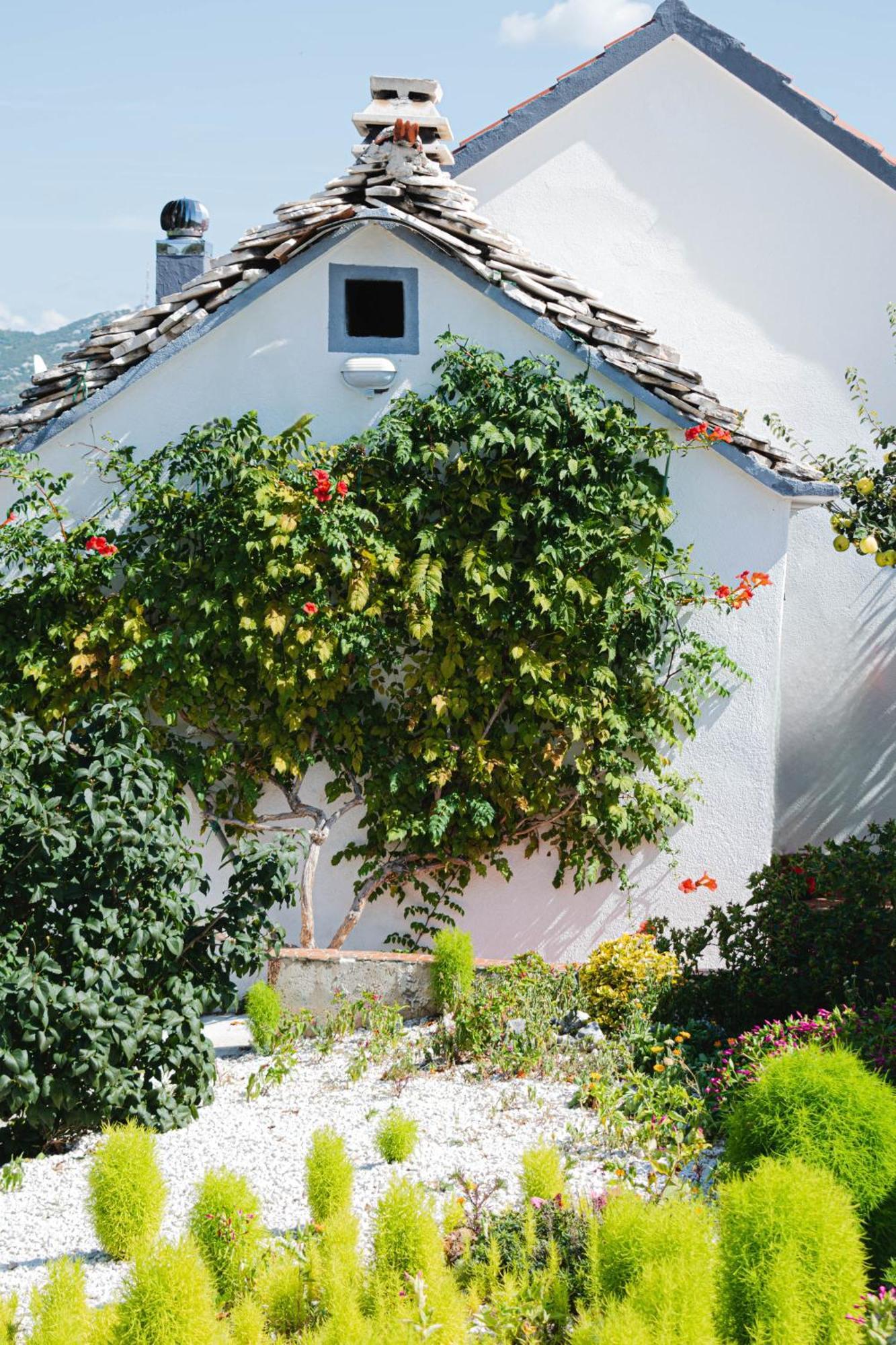 Villa House Camellia With Fenced Pool And Playground Blizna Donja Exterior foto